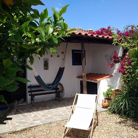 Villa Casa da Tia Luísa Montoito Exterior foto